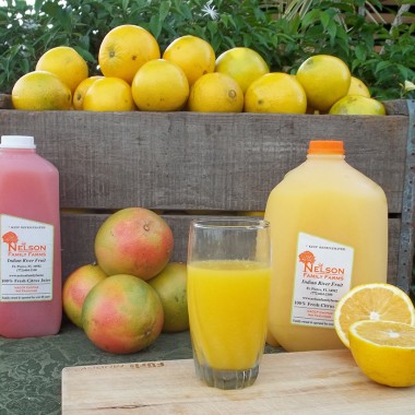 Fresh Squeezed Orange Juice - Earth, Food, and Fire