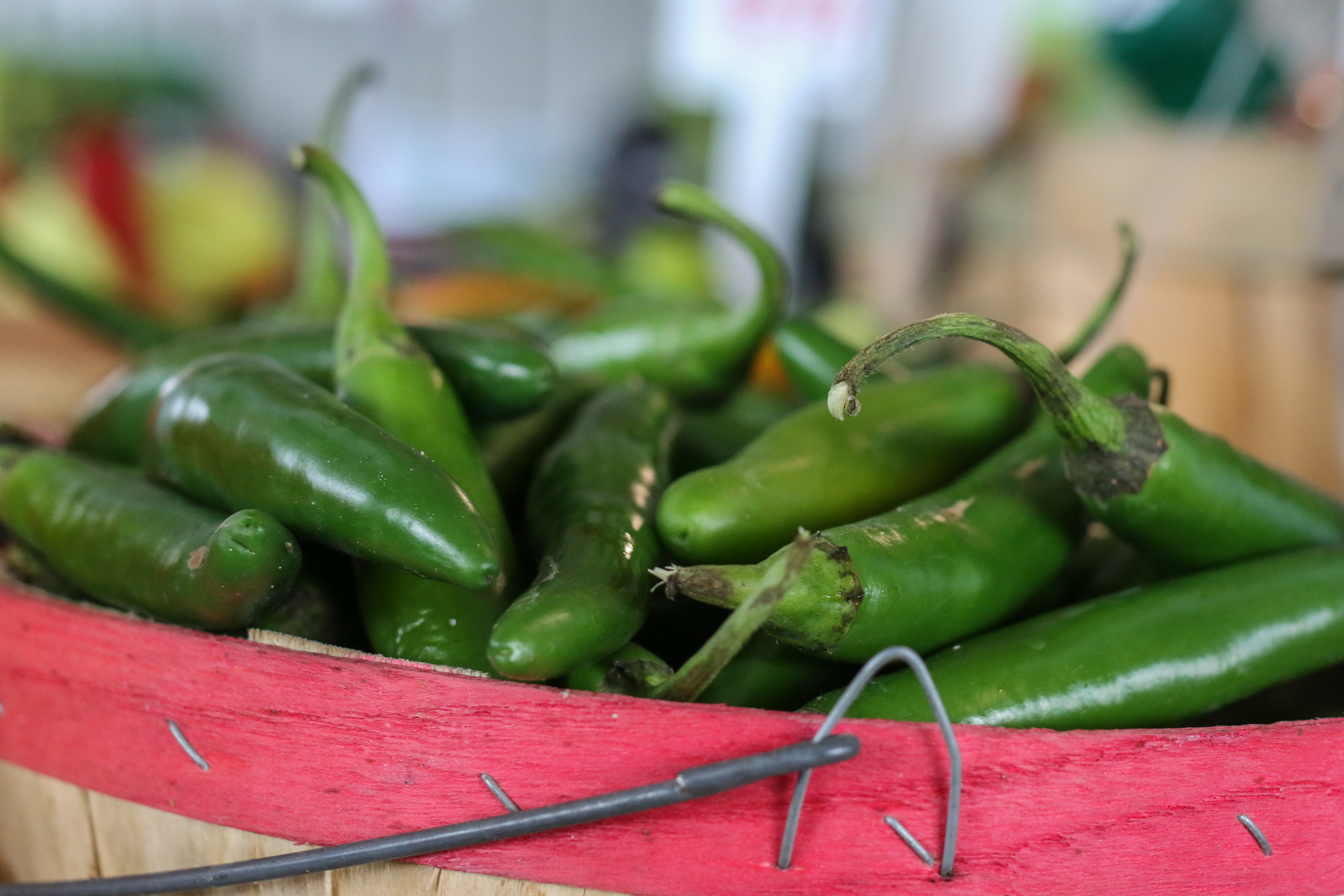 Jalapeno Peppers Nelson Family Farms