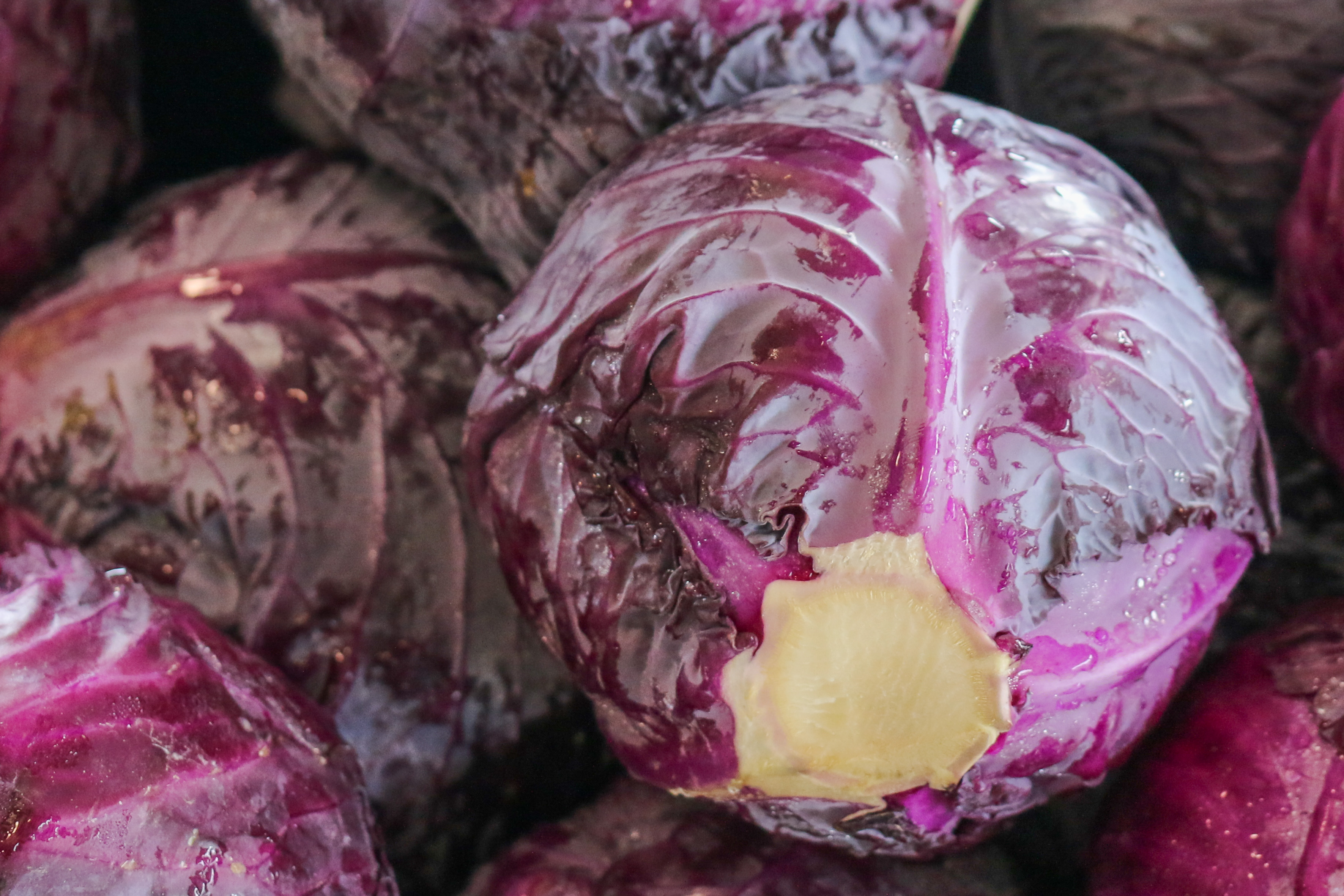 Red Cabbage Nelson Family Farms