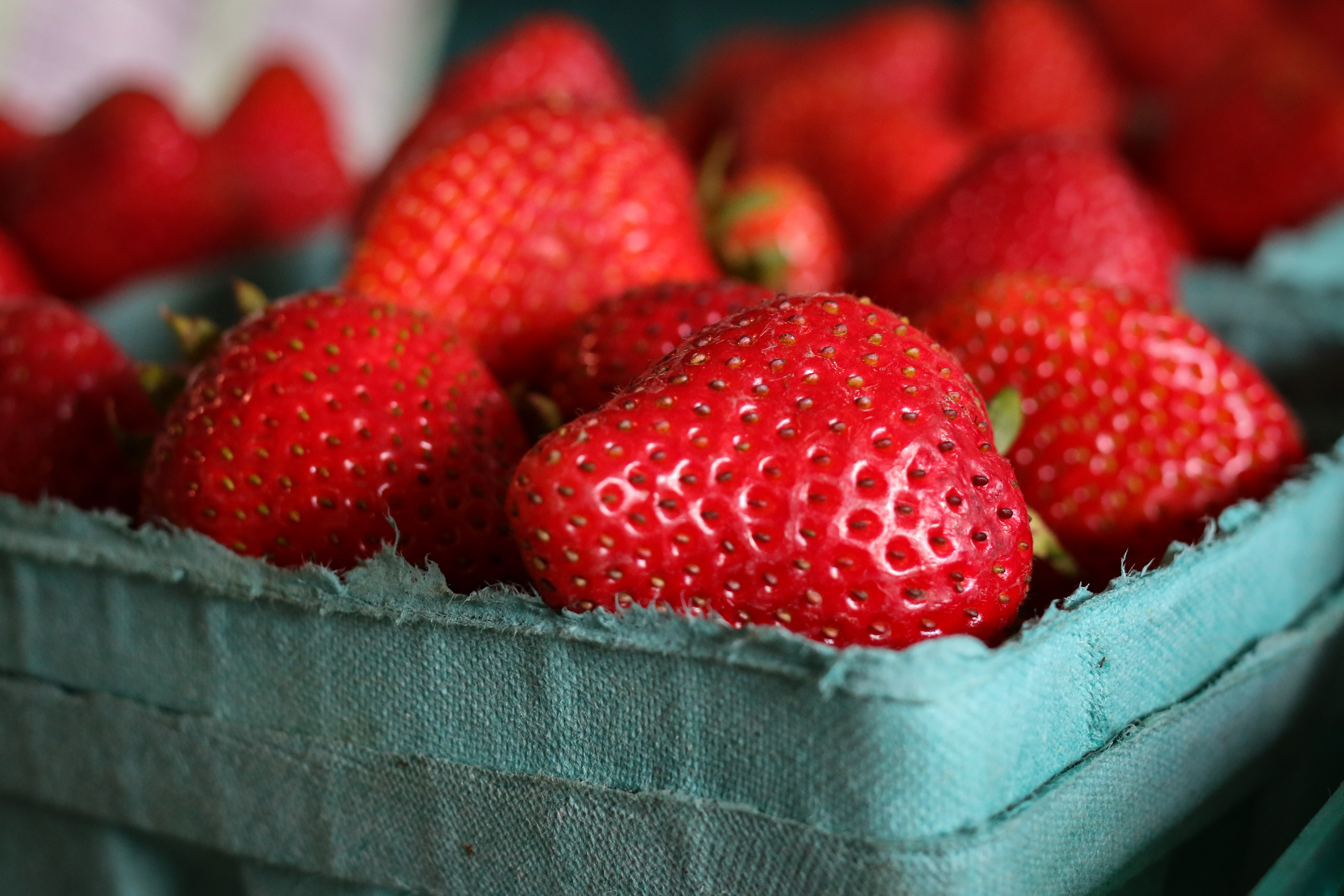 Strawberries Nelson Family Farms